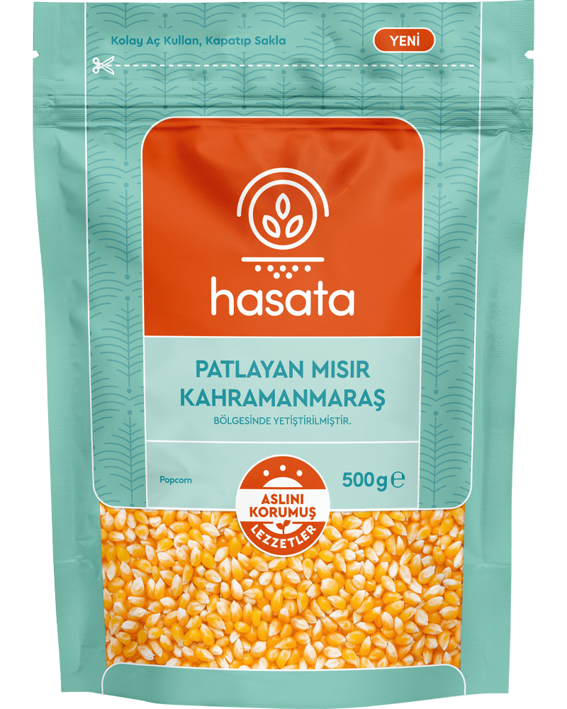 PATLAYAN MISIR