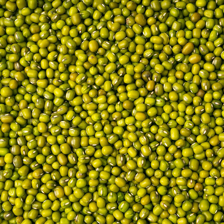Hasata Kadim Maş Fasulyesi 500 g - 2