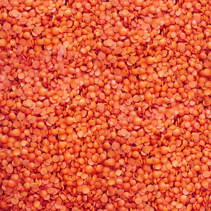 Hasata Mardin Kırmızı Yaprak Mercimek (1 Kg) - Hasata (1)