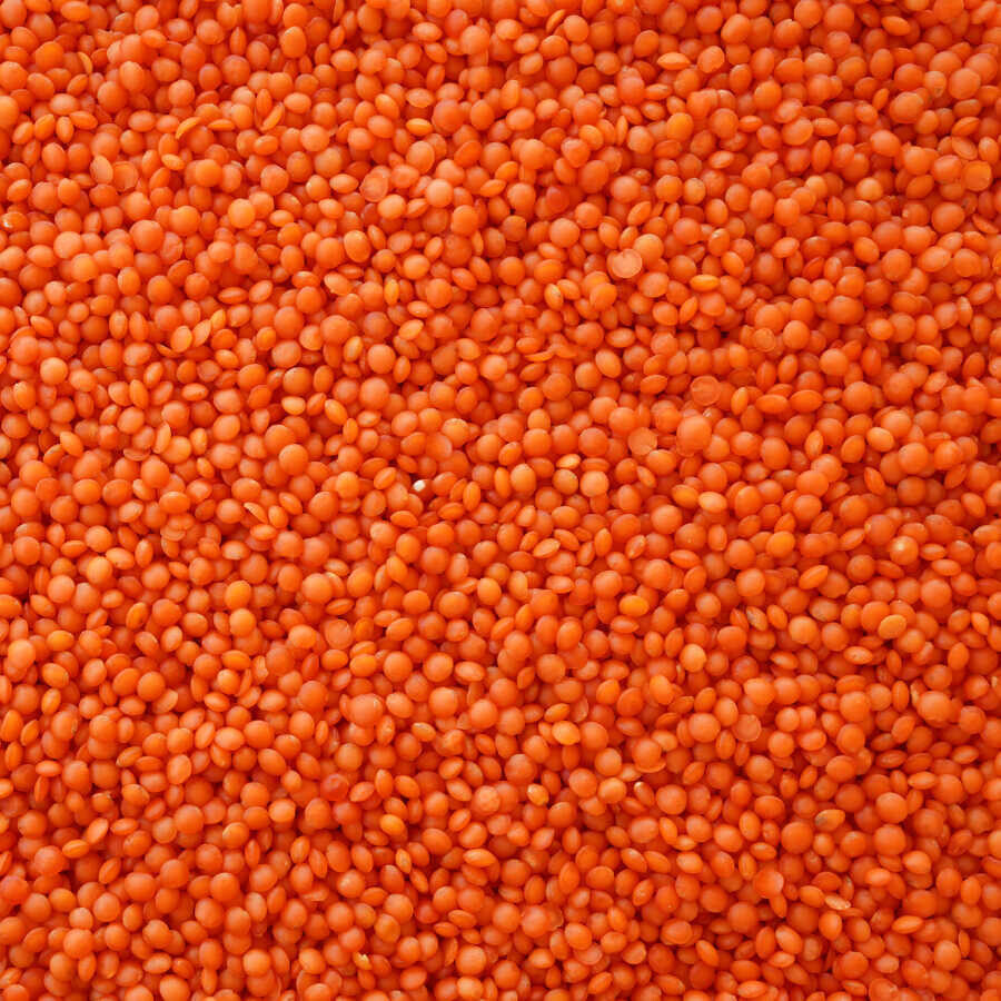 Hasata Mardin Red Lentils 1 KG - 3