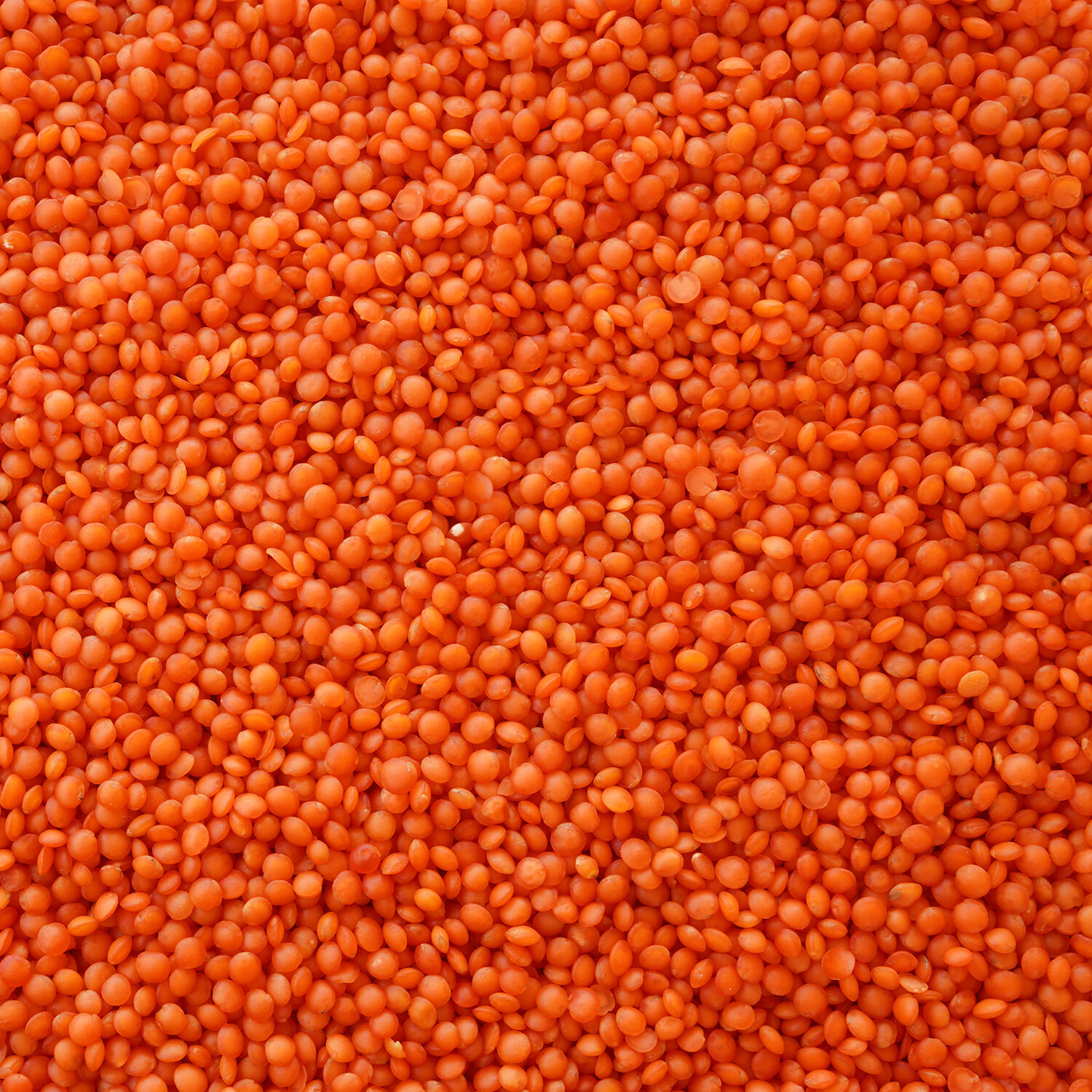 Hasata Mardin Red Lentils 2 KG - 3