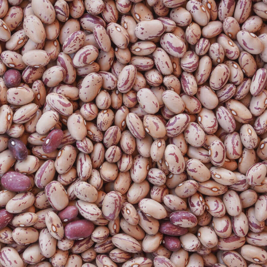 Hasata Niğde Cranberry Beans 1 KG - 2