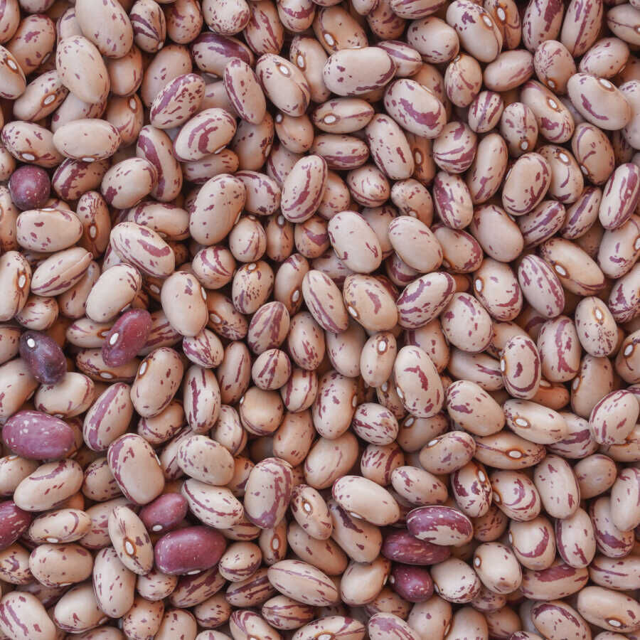 Hasata Niğde Cranberry Beans 1 KG - 2