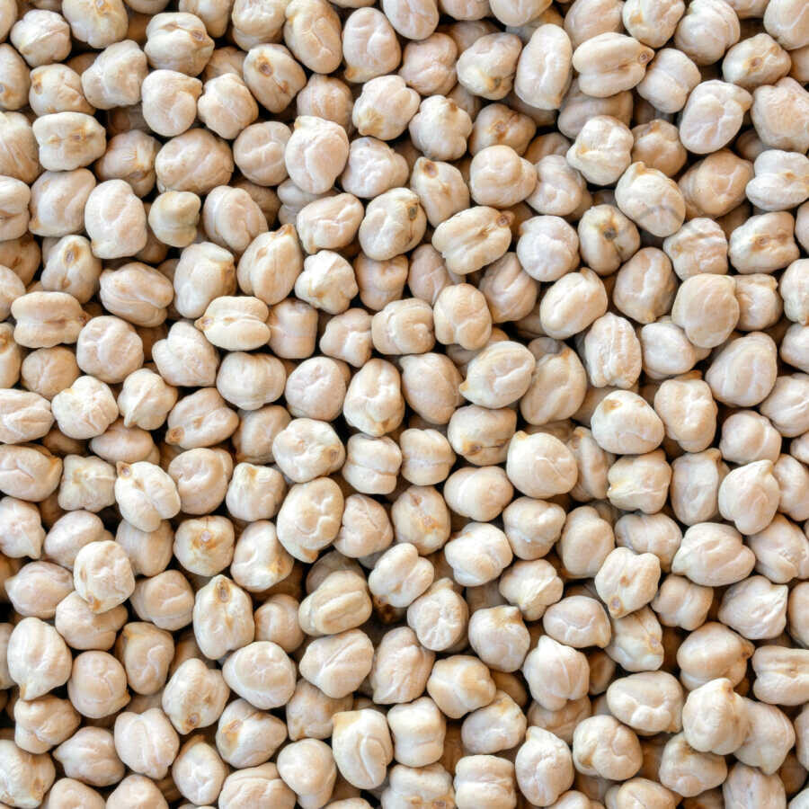 Hasata White Chickpea 1 KG - 2