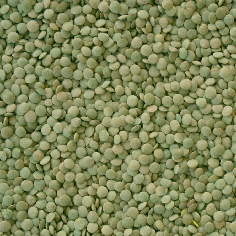 Hasata Yozgat Sultani Green Lentils 1 KG - 3